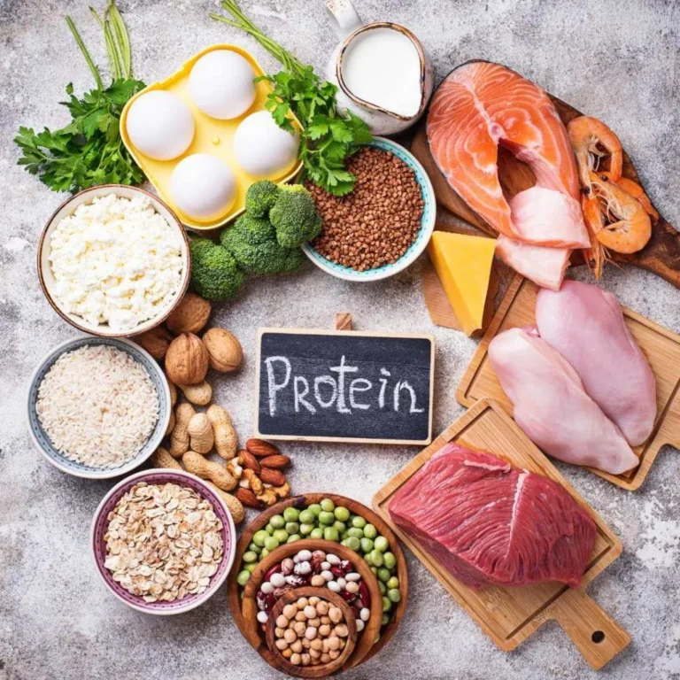 Protein Diet